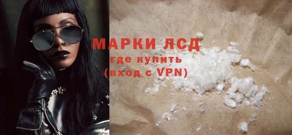 шишки Верея