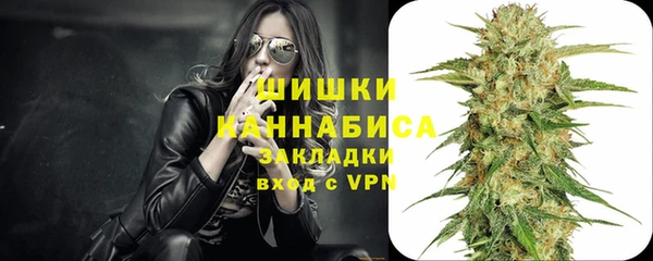 шишки Верея