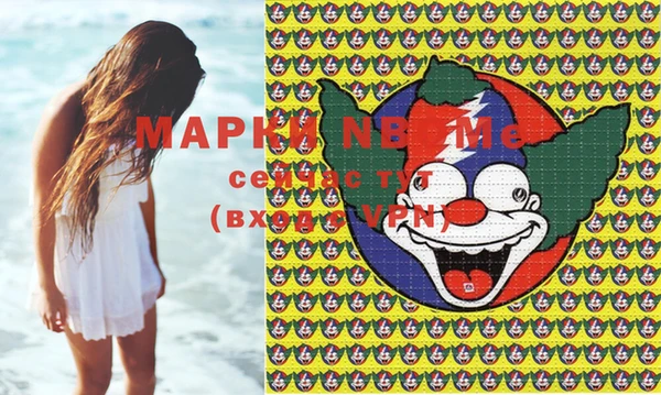 шишки Верея