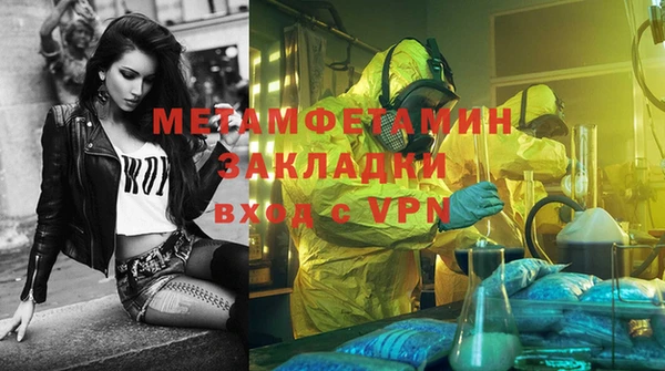 шишки Верея