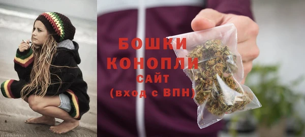 шишки Верея