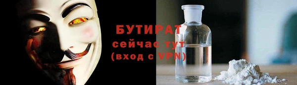 шишки Верея