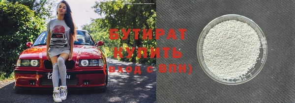 шишки Верея