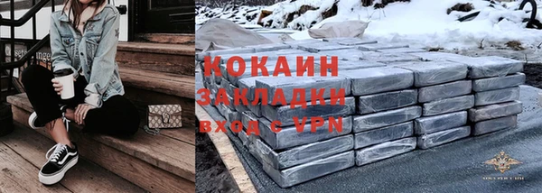 шишки Верея