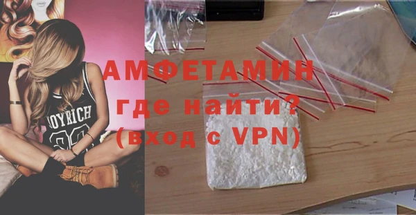 шишки Верея